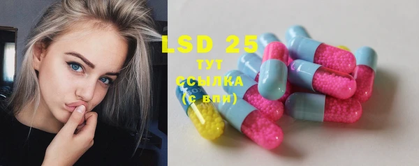 скорость Ельня