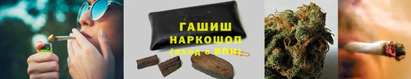 скорость Ельня